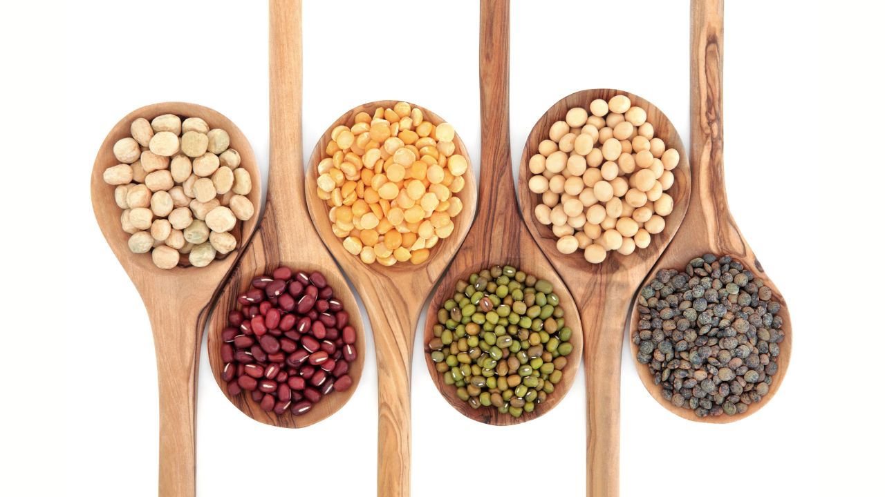What Is the Difference Between a Bean, Legume, Pulse, Dahl, Pea, Gram, and  Lentil? - Center for Ayurveda Studies